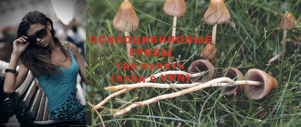 MDMA Карпинск