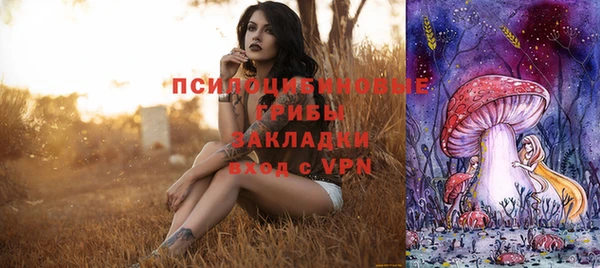 MDMA Карпинск