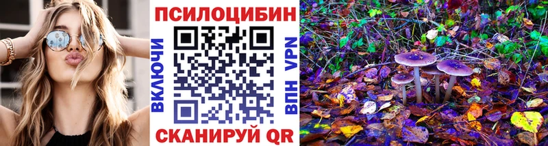 Галлюциногенные грибы мицелий  Купить закладки  Чишмы 